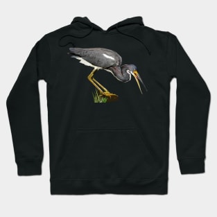 Tricolored Heron Hoodie